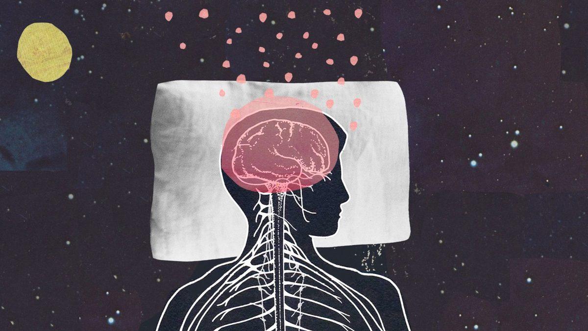 Öğrenme Yeteneğinizi En Üst Seviyeye Çıkaran Beyninizdeki ’BDNF Proteini’ Nasıl Artırılır?