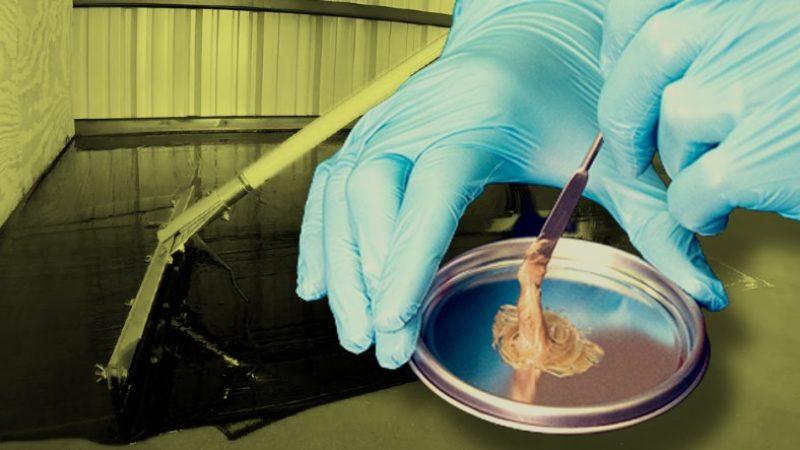 Araba Yapımından Hastanelere Kadar Kullanılan En Dayanıklı Yapıştırıcılardan Biri: Epoksi