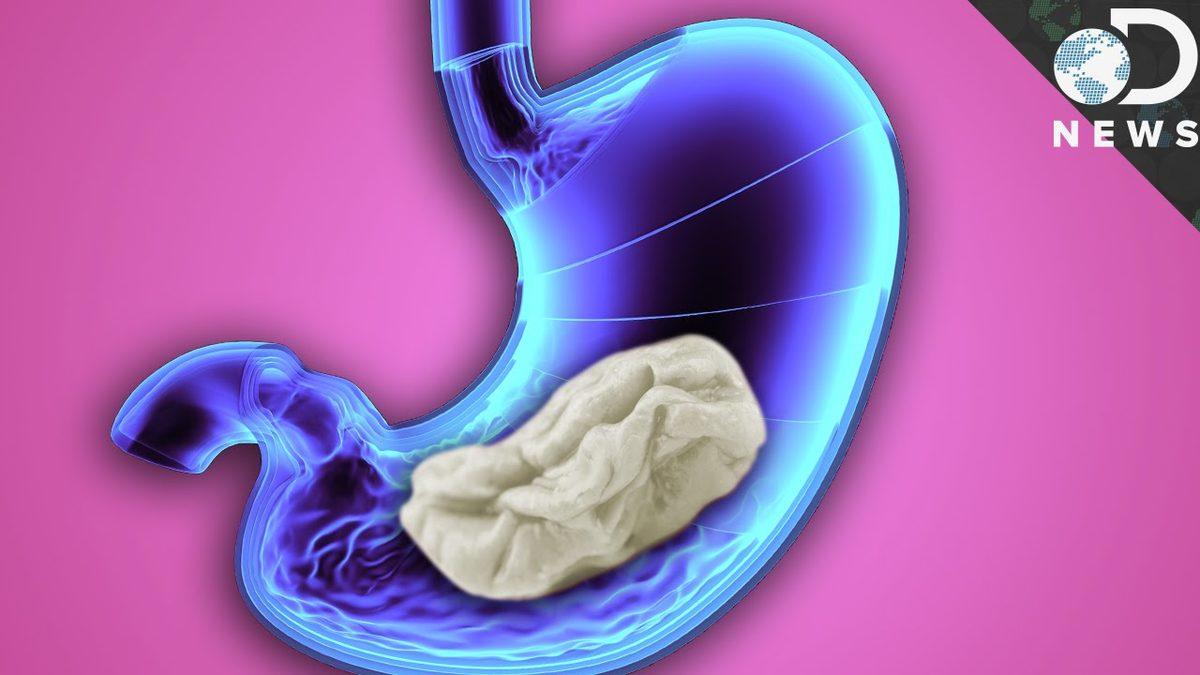 Hâlâ 5 Duyumuz Var Sananlardan mısınız? İnsan Vücudu Hakkında Doğru Sanılan 10 Yanlış Bilgi