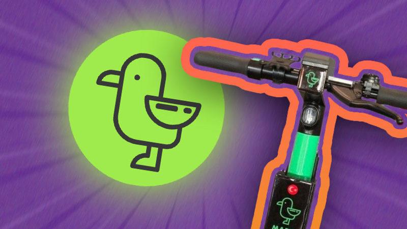 Martı Hakkında Açılan Soruşturmada Karar Açıklandı