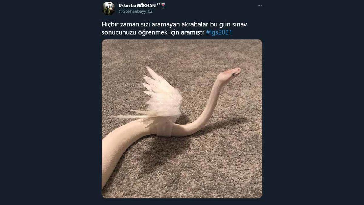 LGS Sonuçları Hakkında Twitter’da Yapılan Birbirinden Eğlenceli Paylaşımlar