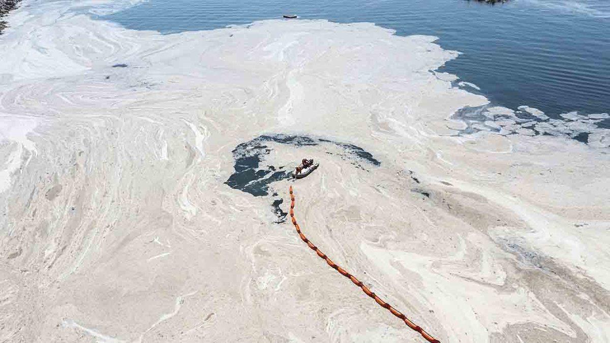 Türk Doktor, Müsilajlı Denizde Yüzmenin Sağlığa Zararlı Olup Olmadığını Açıkladı
