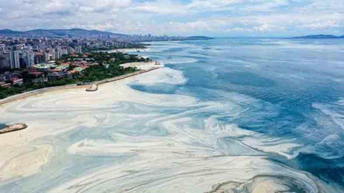 Türk Doktor, Müsilajlı Denizde Yüzmenin Sağlığa Zararlı Olup Olmadığını Açıkladı