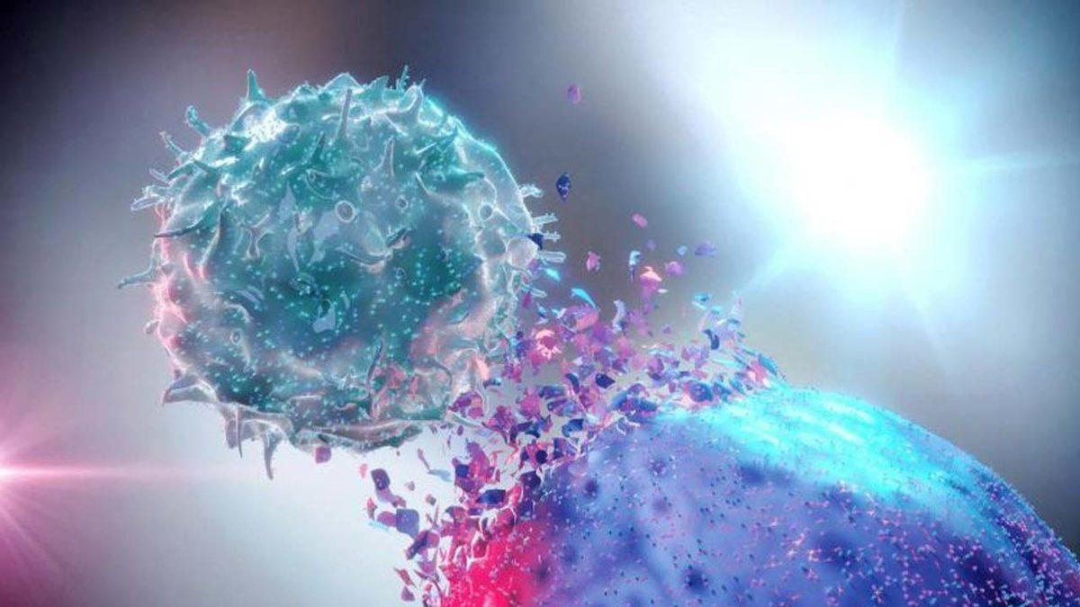 Bitkilerden Alınan Proteinle Farelerde Kanser Tedavi Edildi: İşte Bilim İnsanlarının Yaptığı Açıklamalar