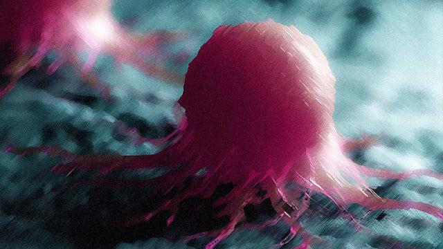 Bitkilerden Alınan Proteinle Farelerde Kanser Tedavi Edildi: İşte Bilim İnsanlarının Yaptığı Açıklamalar