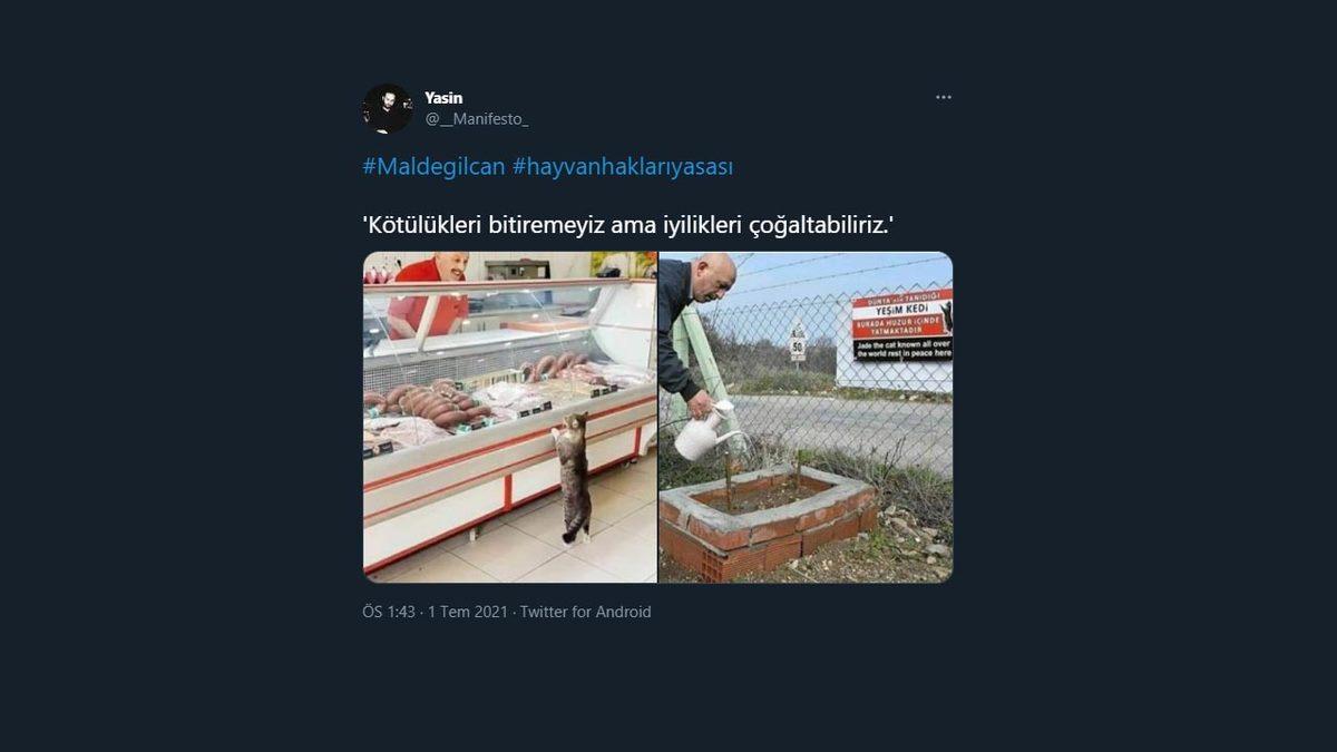 Hayvan Hakları Kanunu Sosyal Medyanın Gündeminde: İşte #MalDeğilCan Etiketiyle Yapılan Destek Paylaşımları