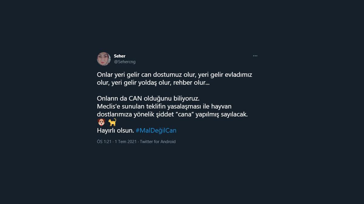 Hayvan Hakları Kanunu Sosyal Medyanın Gündeminde: İşte #MalDeğilCan Etiketiyle Yapılan Destek Paylaşımları