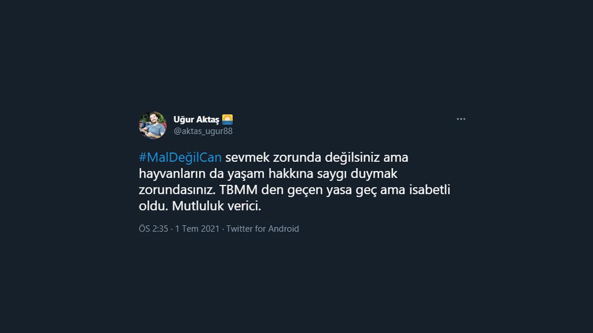 Hayvan Hakları Kanunu Sosyal Medyanın Gündeminde: İşte #MalDeğilCan Etiketiyle Yapılan Destek Paylaşımları