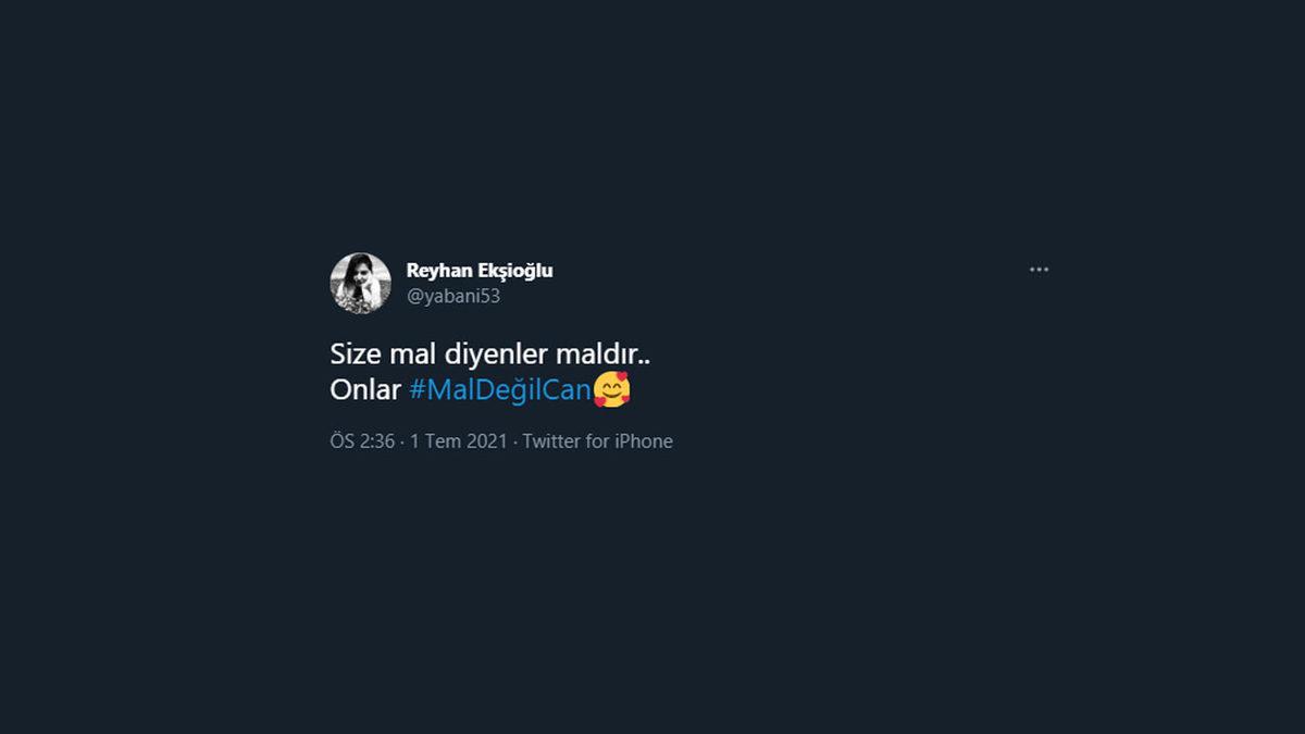 Hayvan Hakları Kanunu Sosyal Medyanın Gündeminde: İşte #MalDeğilCan Etiketiyle Yapılan Destek Paylaşımları