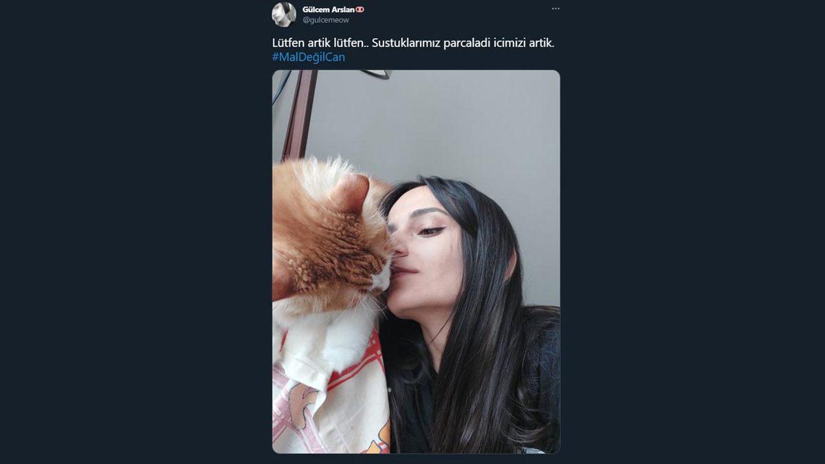 Hayvan Hakları Kanunu Sosyal Medyanın Gündeminde: İşte #MalDeğilCan Etiketiyle Yapılan Destek Paylaşımları