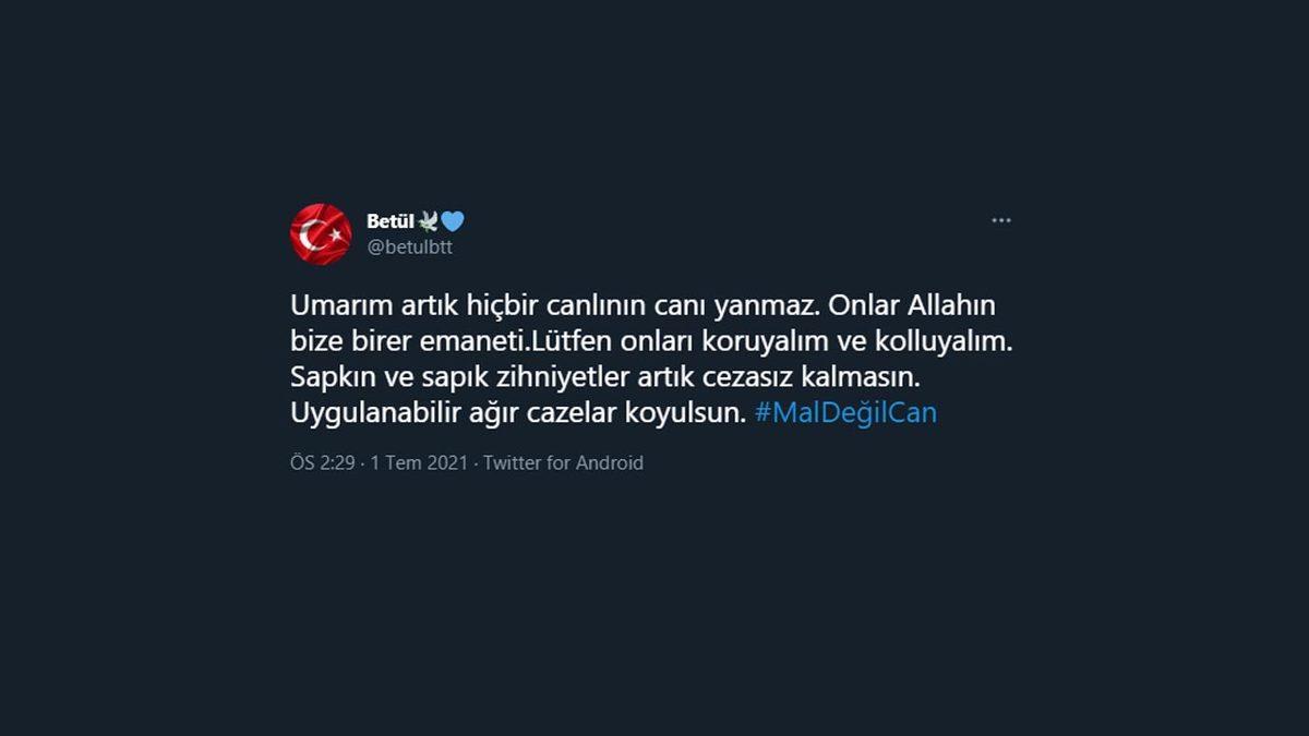 Hayvan Hakları Kanunu Sosyal Medyanın Gündeminde: İşte #MalDeğilCan Etiketiyle Yapılan Destek Paylaşımları