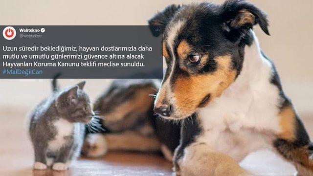 Hayvan Hakları Kanunu Sosyal Medyanın Gündeminde: İşte #MalDeğilCan Etiketiyle Yapılan Destek Paylaşımları