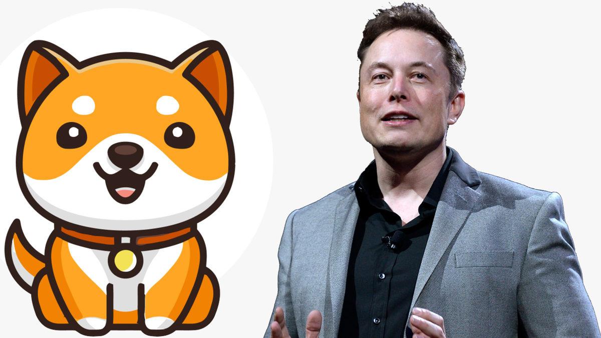 Elon Musk Yine Rahat Durmuyor: Bir Tweetle ’Bebek Doge’nin Fiyatını Uçurdu