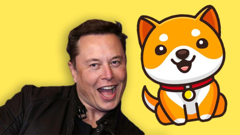 Elon Musk Yine Rahat Durmuyor: Bir Tweetle ’Bebek Doge’nin Fiyatını Uçurdu
