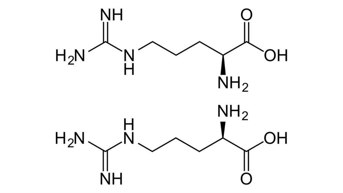Sporcuların Performans Artışı İçin Kullandığı L-Arjinin Nedir, Tam Olarak Ne İşe Yarar? İşte Yararları ve Zararları