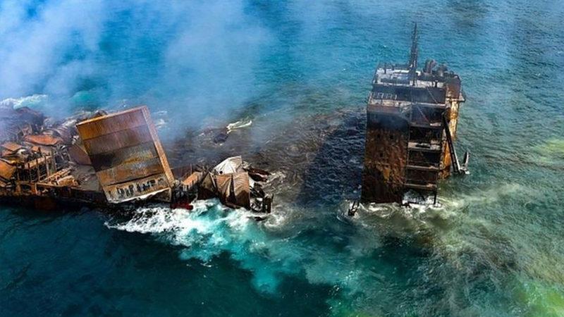 Kimyasal Madde Yüklü Gemi Battı, Yüzlerce Ölü Hayvan Kıyıya Vurdu