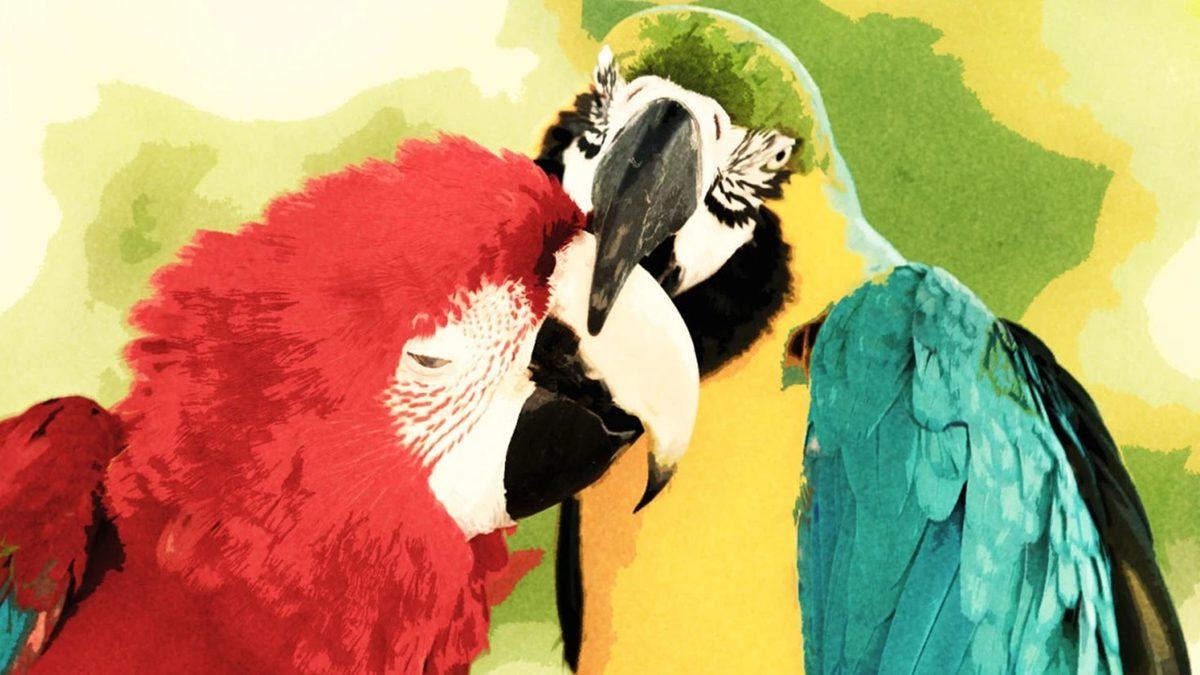 ’’Ben Sevgimi Isırarak Gösteriyorum’’ Demenin Bilimi: Isırarak Sevmenin Fizyolojik ve Psikolojik Nedenlerini Açıkladık!