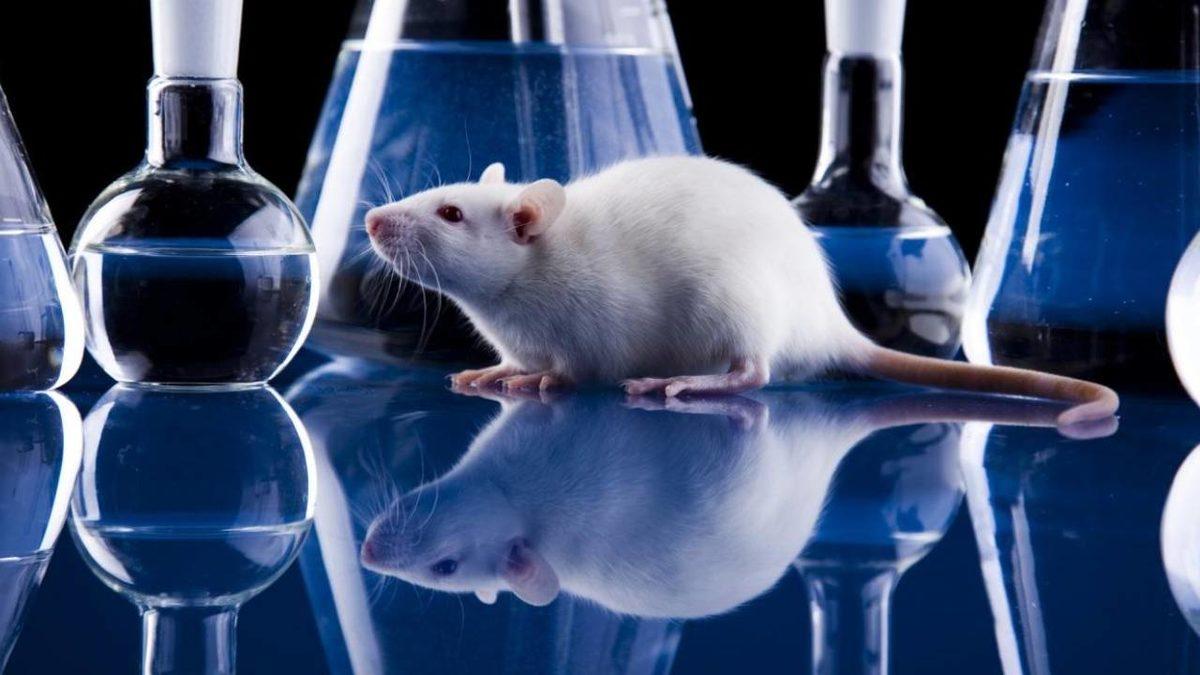 Unutmanın Çaresi Bulunmuş Olabilir! Tıpta Geçtiğimiz Bir Ayda Yaşanan Önemli Gelişmeleri Derledik