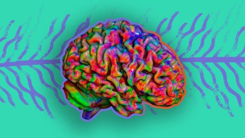 Unutmanın Çaresi Bulunmuş Olabilir! Tıpta Geçtiğimiz Bir Ayda Yaşanan Önemli Gelişmeleri Derledik