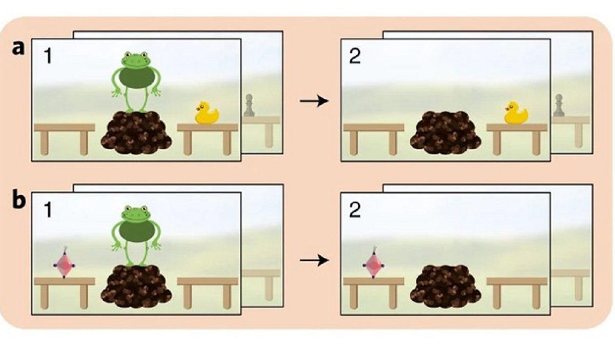 Çocukken Yeni Kelimelerin Anlamlarını Nasıl Öğrendiğimiz Açıklandı