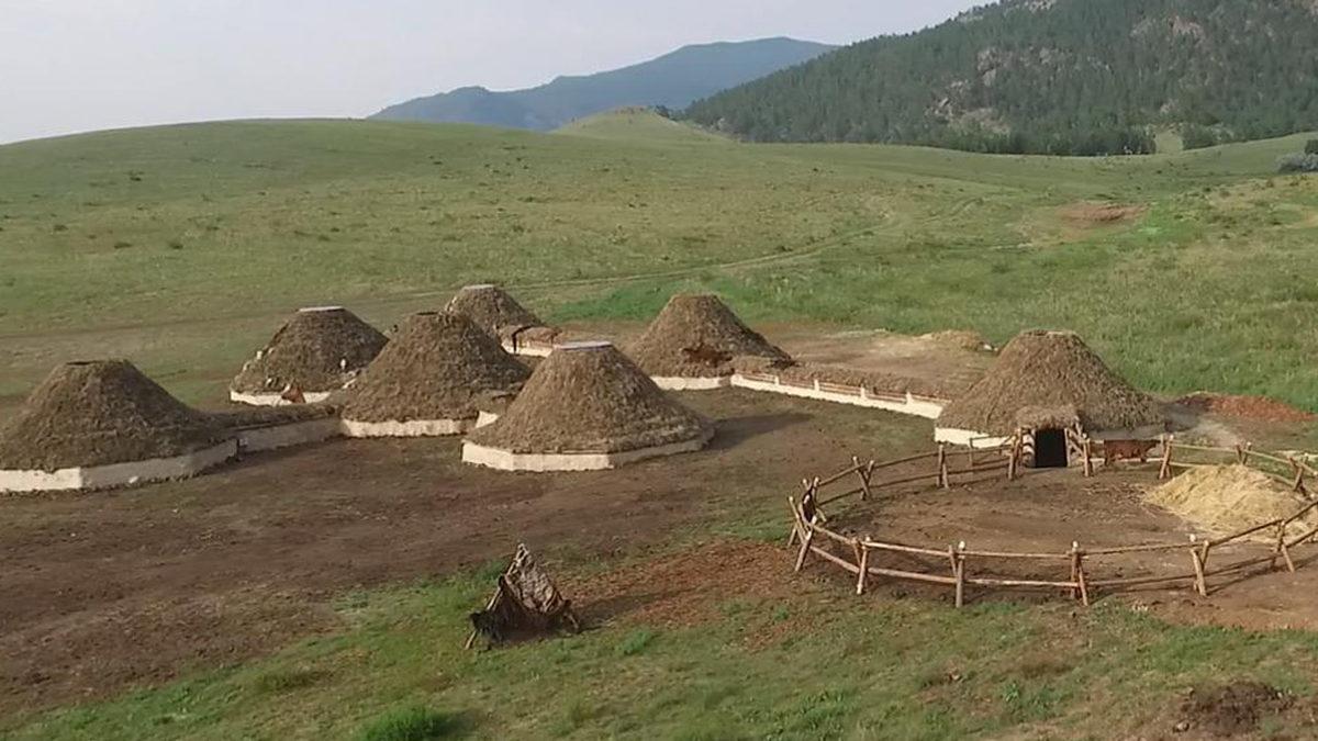 Özgür Hayvanlar Olmalarına Rağmen Atlar, Tarihte İlk Kez Ne Zaman, Nasıl ve Kim Tarafından Ehlileştirildi?