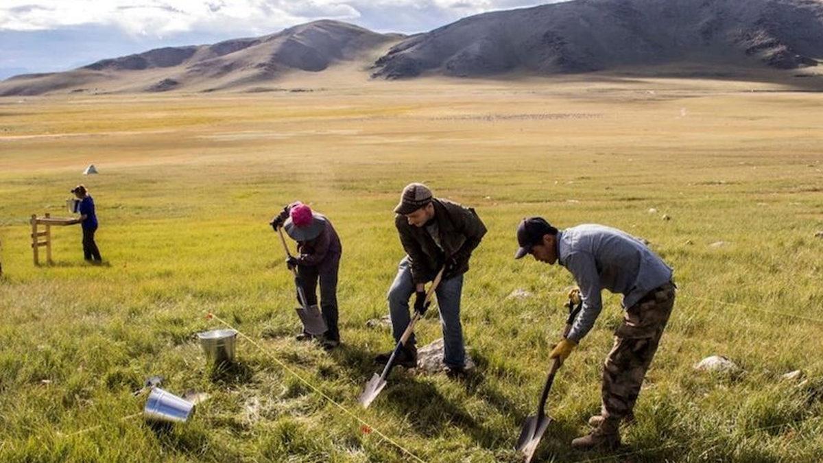 Özgür Hayvanlar Olmalarına Rağmen Atlar, Tarihte İlk Kez Ne Zaman, Nasıl ve Kim Tarafından Ehlileştirildi?
