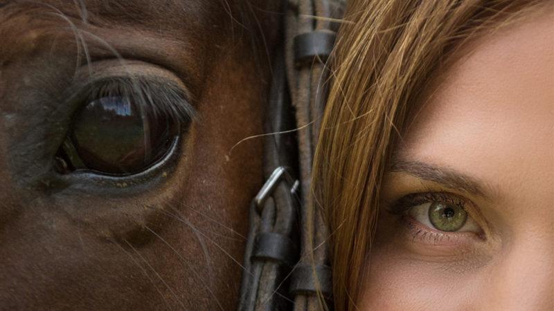 Özgür Hayvanlar Olmalarına Rağmen Atlar, Tarihte İlk Kez Ne Zaman, Nasıl ve Kim Tarafından Ehlileştirildi?