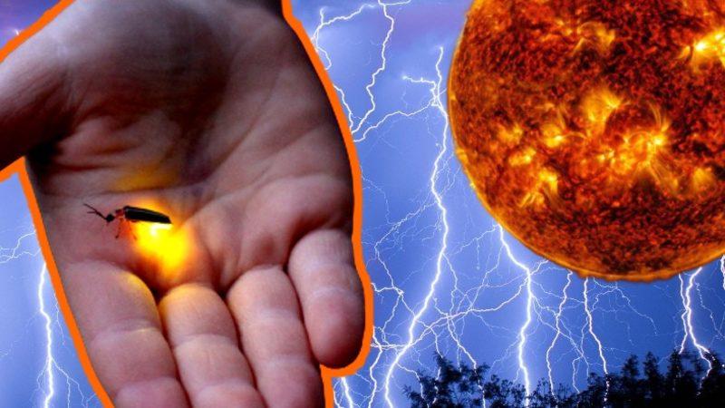 Doğal Işık Kaynakları Nelerdir? Aslında Onlara Ne Kadar Muhtaç Olduğumuzu Gösteren Özellikleri