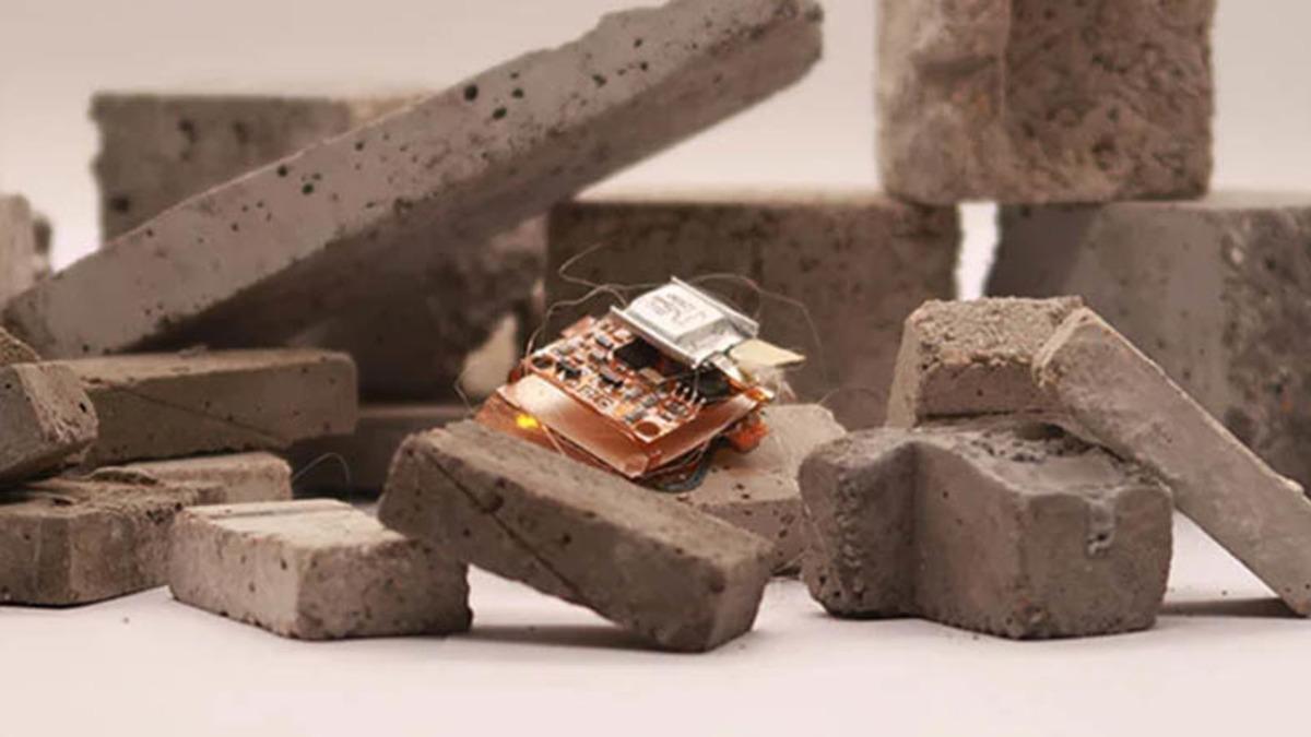 Bir Çita Kadar Hızlı Yön Değiştirebilen Robot Böcek [Video]