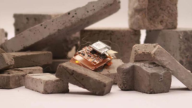 Bir Çita Kadar Hızlı Yön Değiştirebilen Robot Böcek [Video]