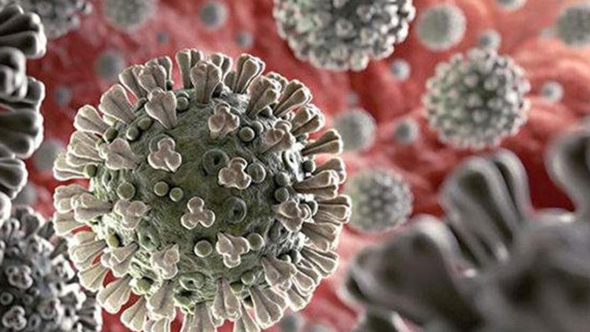 Pandemi Tam Bitti Derken Hayatımıza Giren Delta ve Delta Plus Varyantları ile İlgili Neler Biliyoruz?