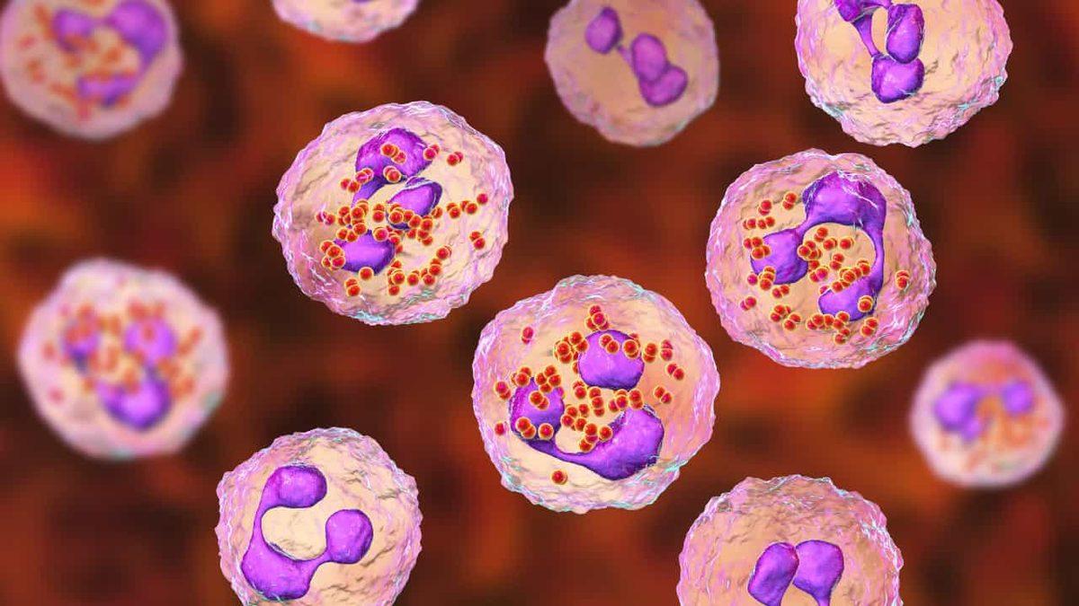 Bağışıklık Sistemimizin En Önemli Parçalarından Biri Olan ’Nötrofil’ Nedir, Düşüklüğü ve Yüksekliği Ne Anlama Gelir?