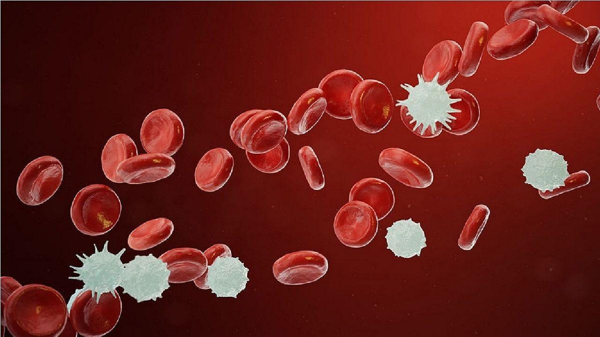 Bağışıklık Sistemimizin En Önemli Parçalarından Biri Olan ’Nötrofil’ Nedir, Düşüklüğü ve Yüksekliği Ne Anlama Gelir?
