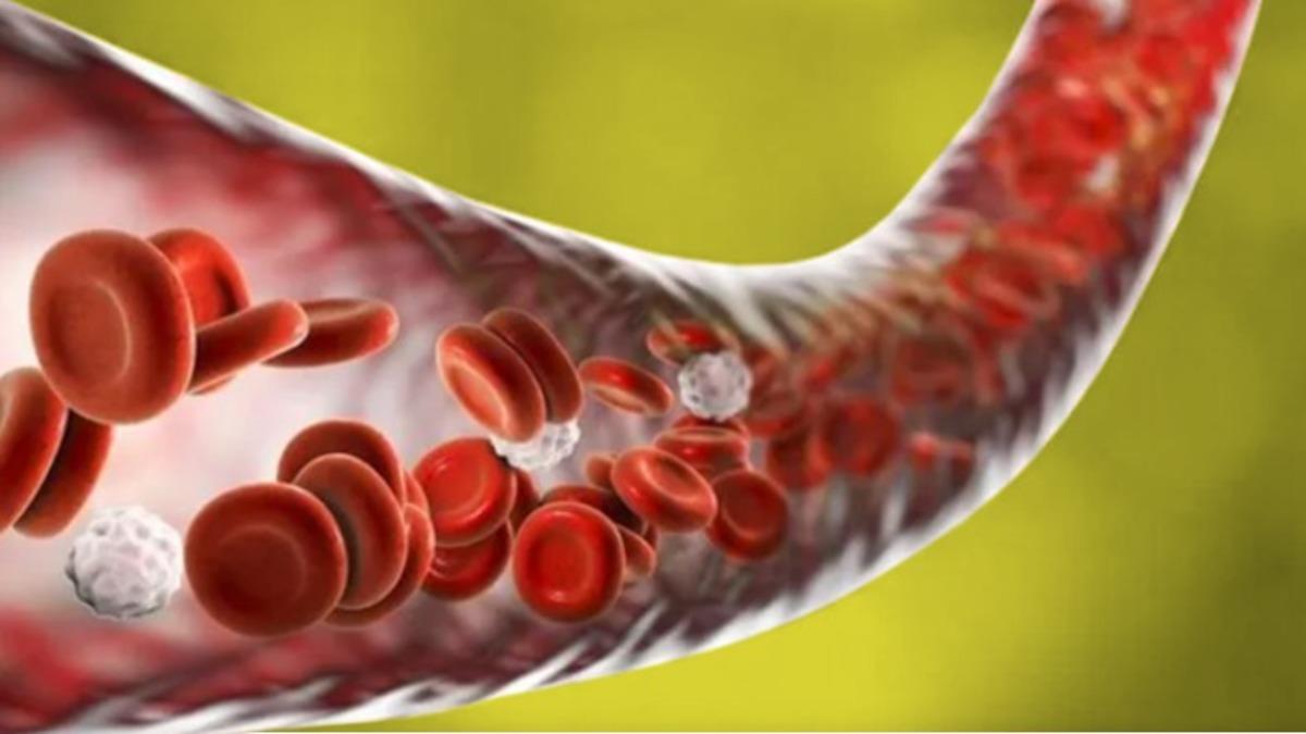 Bağışıklık Sistemimizin En Önemli Parçalarından Biri Olan ’Nötrofil’ Nedir, Düşüklüğü ve Yüksekliği Ne Anlama Gelir?