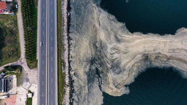Denizlerimizi Boğan Müsilaj Nedir, Nasıl Ortaya Çıktı ve Ne Yaparak Önleyebiliriz?