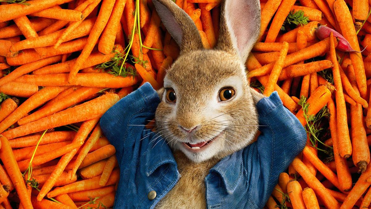 Tavşanlar Hakkında Duyunca Şaşıracağınız 9 İlginç Bilgi: En sevdikleri Yiyecek Aslında Havuç Değil!
