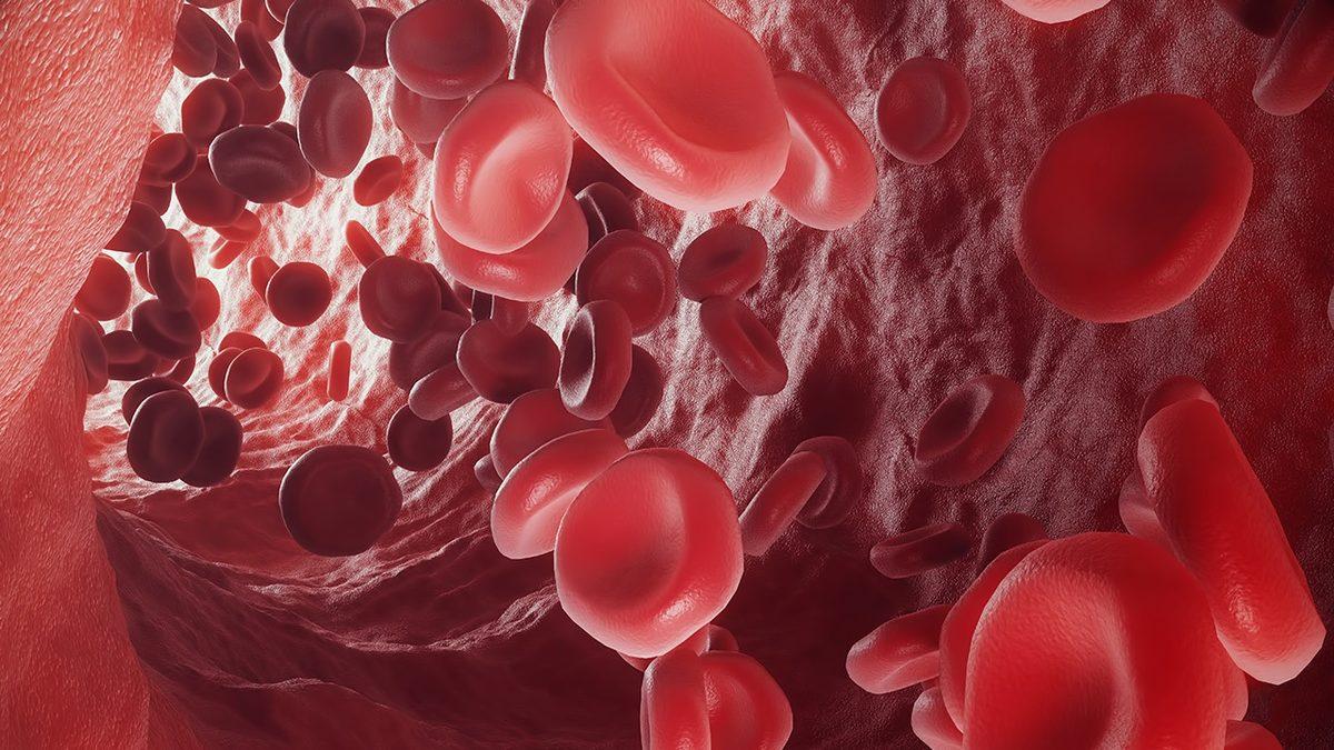 En Basit Haliyle Nefes Alıp Vermemizi Sağlayan Kan Hücresi ’Eritrosit (RBC)’ Nedir, Yüksekliği ve Düşüklüğü Ne Anlama Gelir?