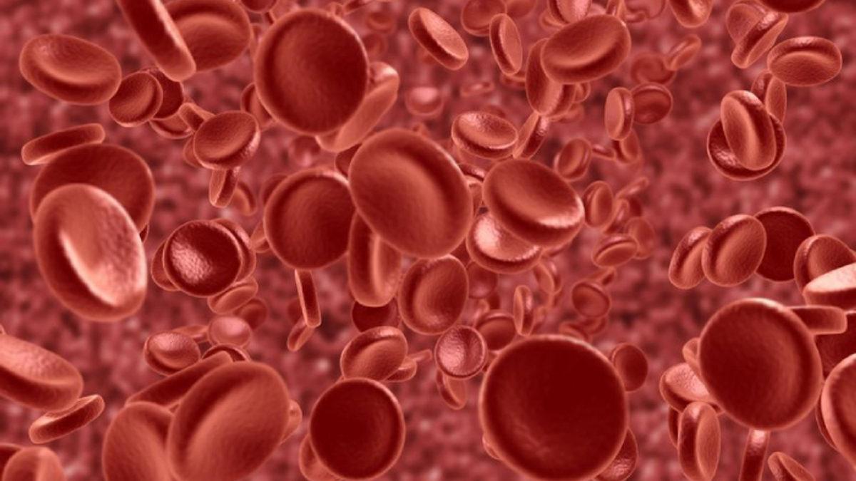 En Basit Haliyle Nefes Alıp Vermemizi Sağlayan Kan Hücresi ’Eritrosit (RBC)’ Nedir, Yüksekliği ve Düşüklüğü Ne Anlama Gelir?