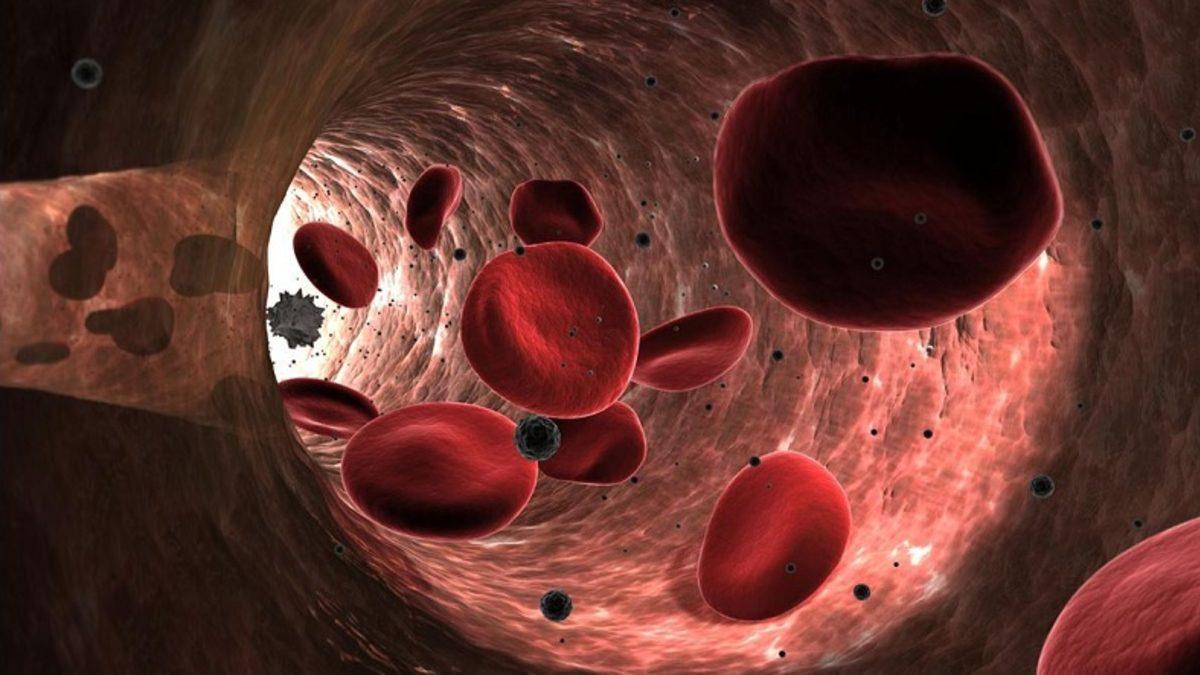 En Basit Haliyle Nefes Alıp Vermemizi Sağlayan Kan Hücresi ’Eritrosit (RBC)’ Nedir, Yüksekliği ve Düşüklüğü Ne Anlama Gelir?