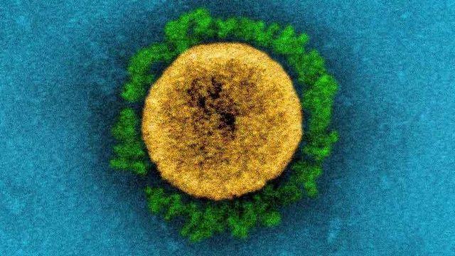 Koronavirüs Lambda Varyantı, COVID-19’a Göre 3 Kat Daha Ölümcül Olduğu Açıklandı