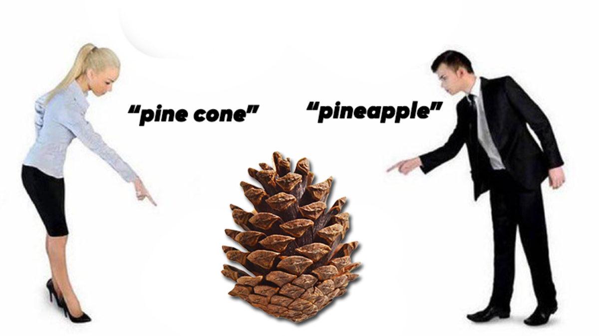 Bu Meyveye Biz Dahil Tüm Dünya ’Ananas’ Diyorken İngilizlerin ’Pineapple’ Demesinin Ardındaki İlginç Neden