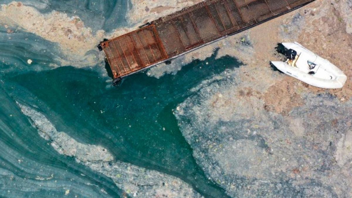 Çevre ve Şehircilik Bakanı Murat Kurum, Marmara’da Toplanacak Müsilaj Kalmadığını Duyurdu