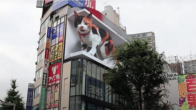 Şimdi Godzilla Düşünsün: Japonya’daki 3 Boyutlu Dev Kedi Animasyonunun Viral Videosu