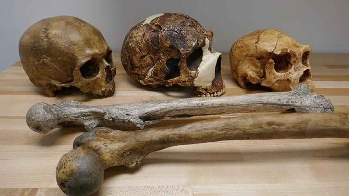 İklim Koşullarının İnsan Bedeni ve Beyin Büyüklüğüne Etkileri Keşfedildi: Hava Soğudukça Beden Büyüyor