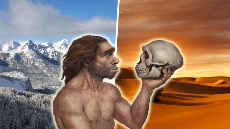 İklim Koşullarının İnsan Bedeni ve Beyin Büyüklüğüne Etkileri Keşfedildi: Hava Soğudukça Beden Büyüyor