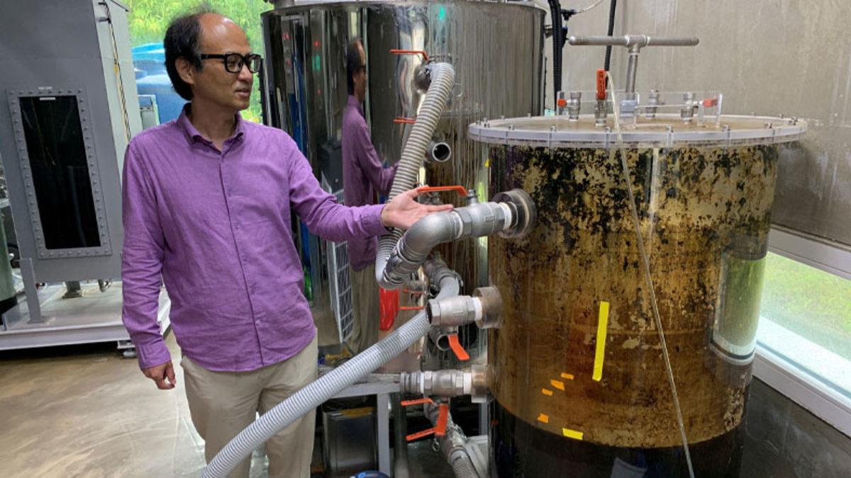 Kullanana Ödül Var: İnsan Dışkısını Yenilenebilir Enerjiye Çeviren Tuvalet Geliştirildi