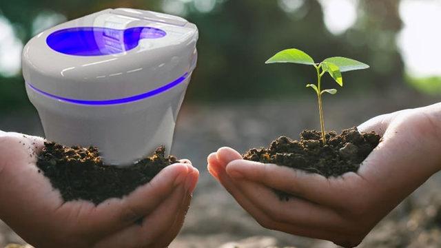 Kullanana Ödül Var: İnsan Dışkısını Yenilenebilir Enerjiye Çeviren Tuvalet Geliştirildi