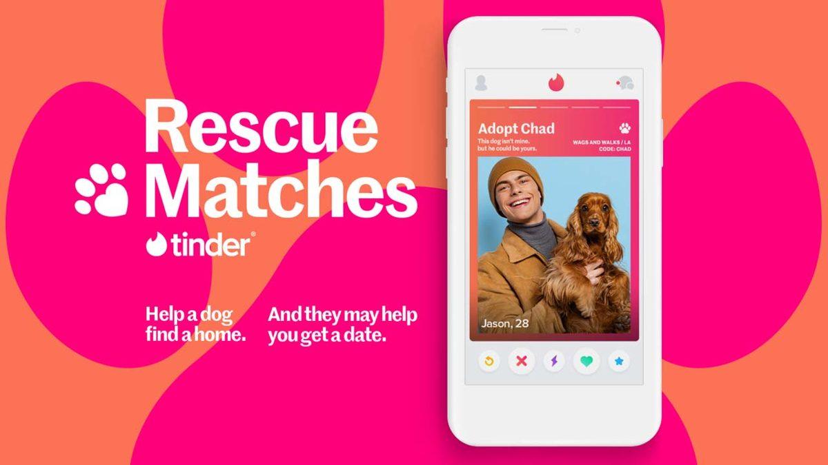 Tinder’dan Hayvanseverlerin Ayakta Alkışlayacağı Özellik: Flört Ararken, Köpek Sahiplendirilecek