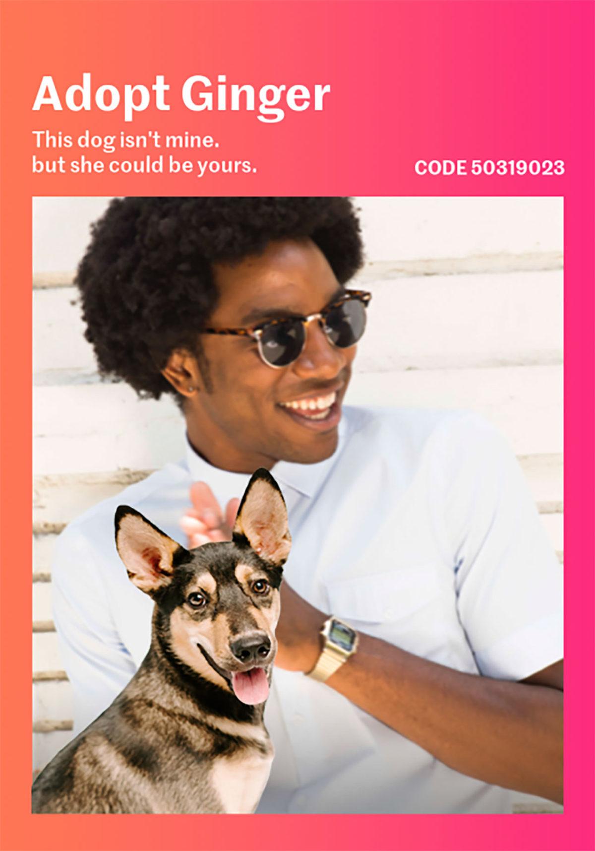 Tinder’dan Hayvanseverlerin Ayakta Alkışlayacağı Özellik: Flört Ararken, Köpek Sahiplendirilecek