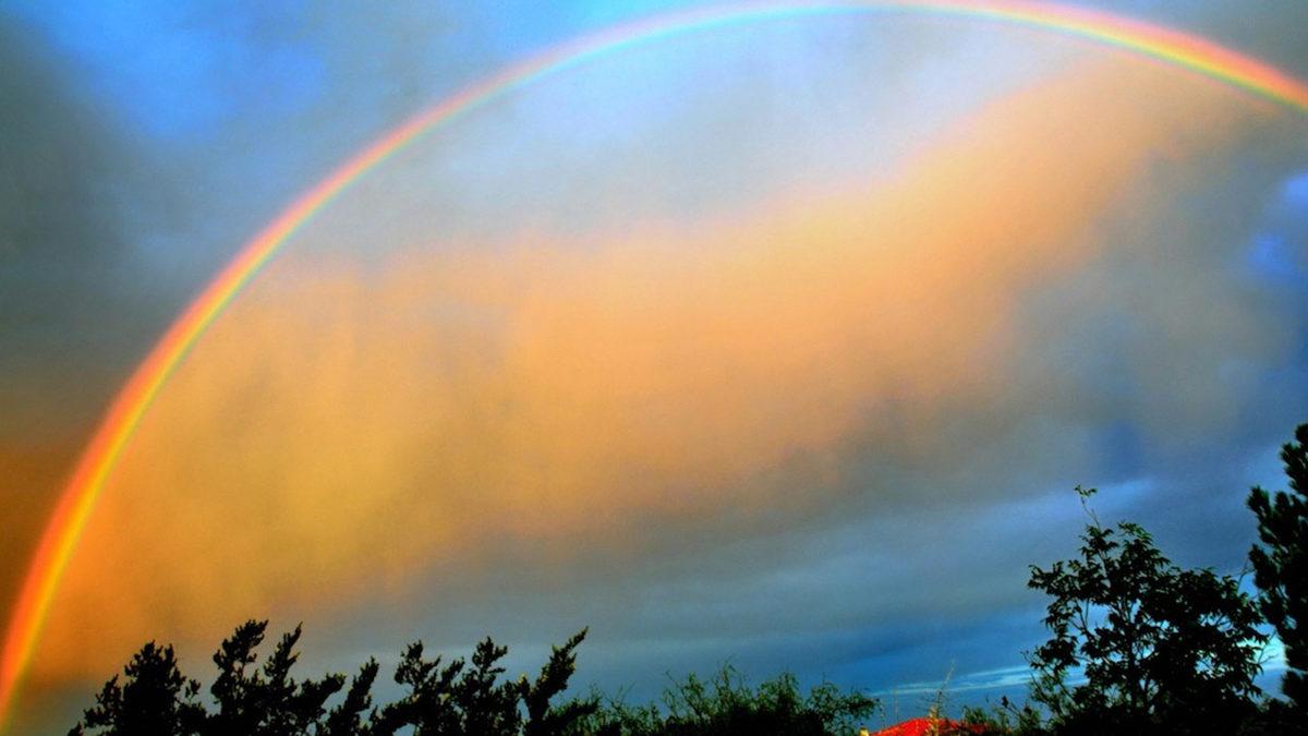 Gökkuşağı Hakkında Pek Duymadığımız 8 Bilgi: Eğer Havadan Baksaydınız Alıştığınızdan Çok Farklı Bir Manzarayla Karşılaşacaktınız!